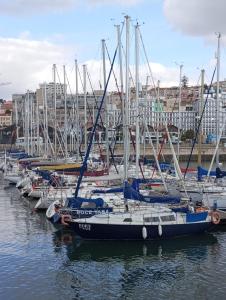 里斯本Lisbon Cosy Boat的停靠在港口的一群船