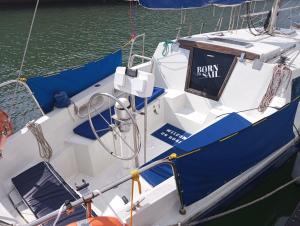 里斯本Lisbon Cosy Boat的水中蓝白的船