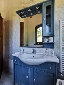 卡内利Agriturismo 'Rian d'oliva的浴室设有蓝色水槽和镜子