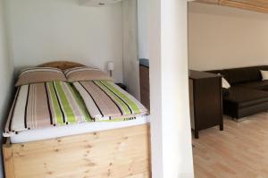 耶拿赛藤3号公寓的一间卧室设有一张床和一间客厅。
