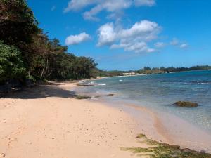 HauulaItʻs All About the Beach的一片种满树木的沙滩和大海