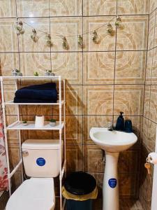 圣佩德罗拉拉古纳Casa Nicolas #1的一间带卫生间和水槽的浴室