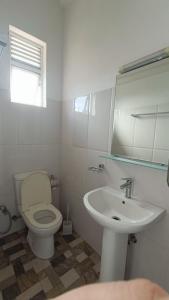 康提Smile Hub Kandy Penthouse apartment的浴室配有白色卫生间和盥洗盆。