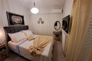 纳夫普利翁Alpha 4的一间小卧室,配有一张床和电视