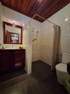 琅勃拉邦somvang khily guesthouse 宋旺吉利 酒店的一间带水槽、卫生间和镜子的浴室