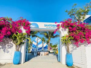 金兰Santorini Villa Cam Ranh的装满粉红色花卉的蓝色花瓶门