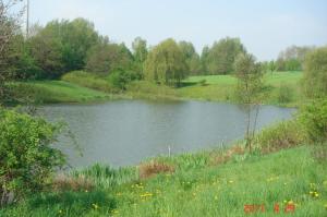 Ostrau祖尔林德酒店的花田中间的一个池塘