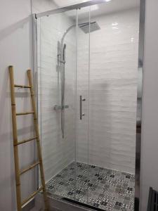 维也纳Ô Bon'Endroit - Appartement Confort - Centre Ville的浴室里设有玻璃门淋浴