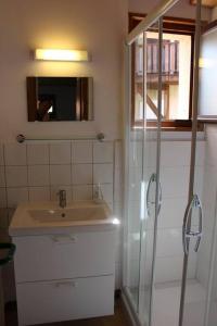 拉布雷斯Gîte Le Bressaud的浴室配有盥洗盆和带镜子的淋浴