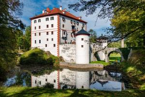 Stari Trg pri LožuCherry house - cosy house - ideal for bear watching, in the neighborhood of the medieval Snežnik castle的水中反射的城堡