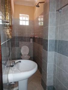 KakamegaMilimani Greens Inn的一间带水槽和卫生间的浴室