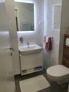 RebrovacApartman ADA Banja Luka的一间带水槽、卫生间和镜子的浴室
