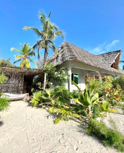 布韦朱Butterfly Apartment Zanzibar的棕榈树和植物海滩上的度假屋