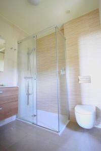穆罗斯Camino de Rosa's的一间带玻璃淋浴和卫生间的浴室