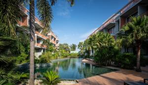 暹粒Angkor Grace Residence & Wellness Resort的棕榈树庭院中间的游泳池