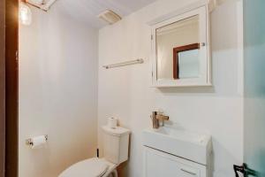 班夫Banff Three Bedroom Basement Suite的一间带卫生间、水槽和镜子的浴室
