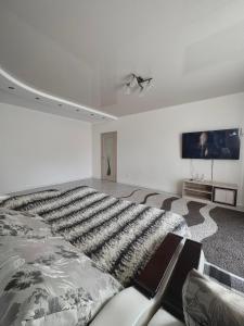 卢茨克Apartment Ivashchenka 1a的一间卧室配有一张大床和一台平面电视
