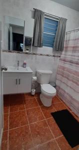 Casa Rosairis的一间带卫生间、水槽和镜子的浴室