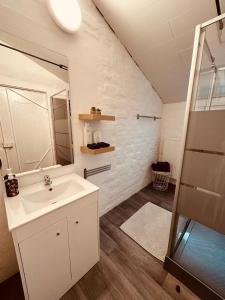 斯帕Ké dodo sous le château !!!的一间带水槽和镜子的浴室
