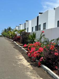 弗利康弗拉克la falaise paradis Mauritius的建筑物前的一排鲜花