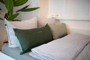 茨维考Zentral Smart Apartment的一张沙发,上面有几个枕头,上面有植物