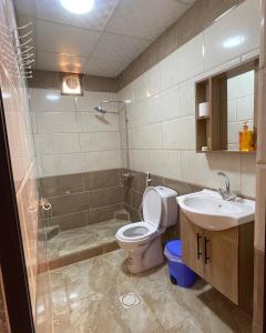瓦迪拉姆Wadi Rum Star Camp的浴室配有卫生间、盥洗盆和淋浴。
