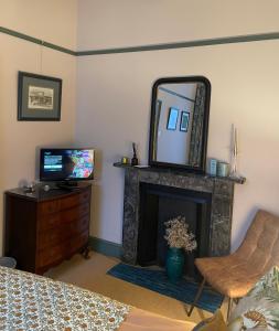 托特尼斯Luxury flat in Totnes的客房设有带镜子的壁炉和电视。