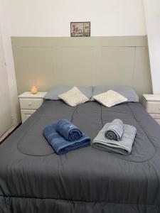 布宜诺斯艾利斯Depto La Boca的床上有2个蓝色枕头