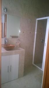 伊拉普阿托ORQUIDEA的带淋浴和盥洗盆的浴室