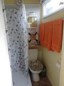 卡迪夫STUDIO PAD的一间带卫生间和淋浴帘的浴室