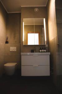 卢森堡Lovely Modern 1 BR apartment的一间带水槽、卫生间和镜子的浴室
