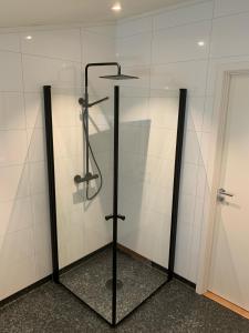 TomrefjordSivert´s kontorhotell的带淋浴的浴室(带玻璃墙)