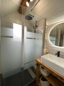 布里昂松La Kaz montagne的带淋浴和盥洗盆的浴室