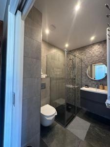 帕斯底拉卡萨Prime Loft ANDORRA的带淋浴、卫生间和盥洗盆的浴室