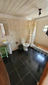 伊瓜苏港Hostel Haus的一间带卫生间和水槽的浴室