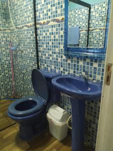 埃斯特城Cabaña del lago的浴室设有蓝色的卫生间和水槽。
