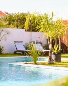 沙尔内卡Vila Vale Guest House - Surf & Yoga的一个带长凳和棕榈树的游泳池