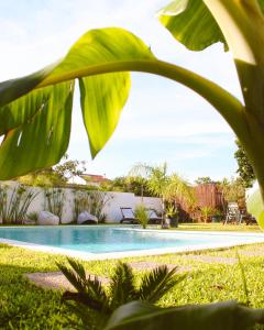 沙尔内卡Vila Vale Guest House - Surf & Yoga的植物庭院中的游泳池