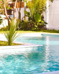 沙尔内卡Vila Vale Guest House - Surf & Yoga的拥有蓝色海水和植物的游泳池