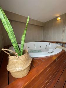特尔马斯德里奥翁多多拉酒店的木台上的浴缸,盆栽植物