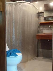 阁遥岛Sabai House Bungalow的带淋浴、卫生间和盥洗盆的浴室