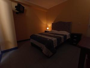 皮斯科Hostal Madrid的一间卧室配有一张床,上面有灯