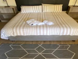 布隆方丹Aloe Guest Rooms的床上有两条毛巾