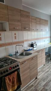 ZdunyPolna 40的厨房配有木制橱柜、水槽和炉灶。