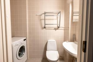 赫尔辛基2ndhomes Bright & Compact Studio with the best loc的一间带洗衣机和水槽的浴室