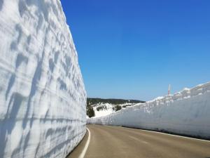 八幡平市Pension Hinode的路边的雪墙