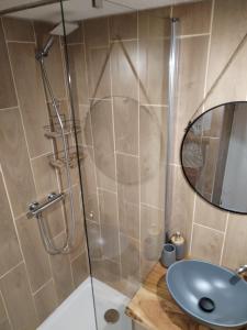 拉富Appartement 8 couchages 45 m2 tout confort à la foux d'allos的带淋浴、盥洗盆和镜子的浴室