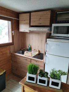 拉富Appartement 8 couchages 45 m2 tout confort à la foux d'allos的厨房配有白色冰箱和一些植物