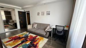 布加勒斯特ABarbici Apartments的带沙发和书桌的客厅
