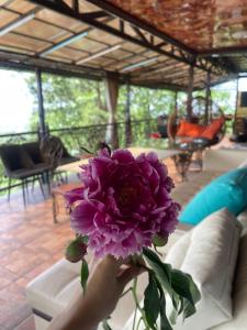 Kok-ShokyLa Villa的坐在沙发上花瓶里拿着紫色花的人